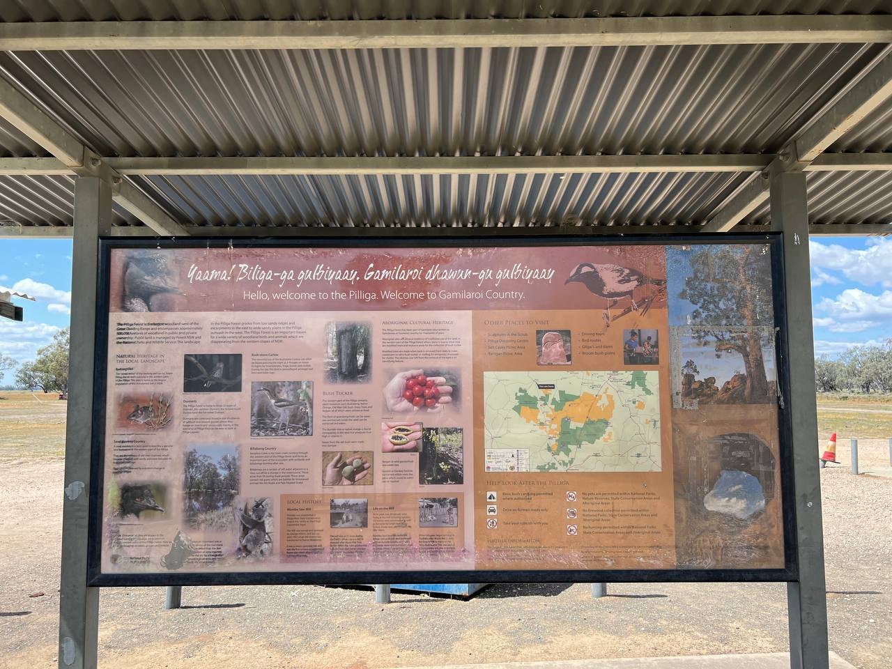 The interpretive welcome sign at the Pilliga bore baths
